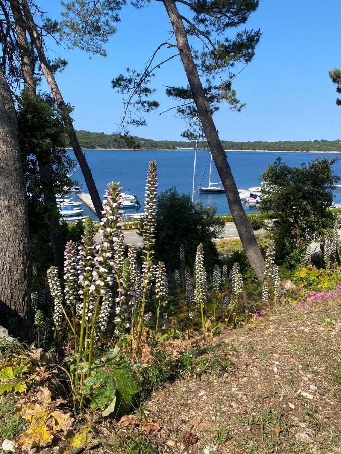 Apartments Tasha Mali Losinj Luaran gambar
